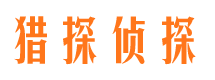 恒山市场调查